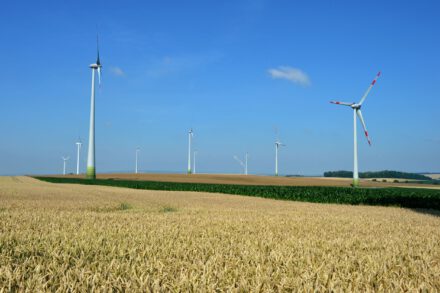 Wat als het opeens waait en de zon schijnt