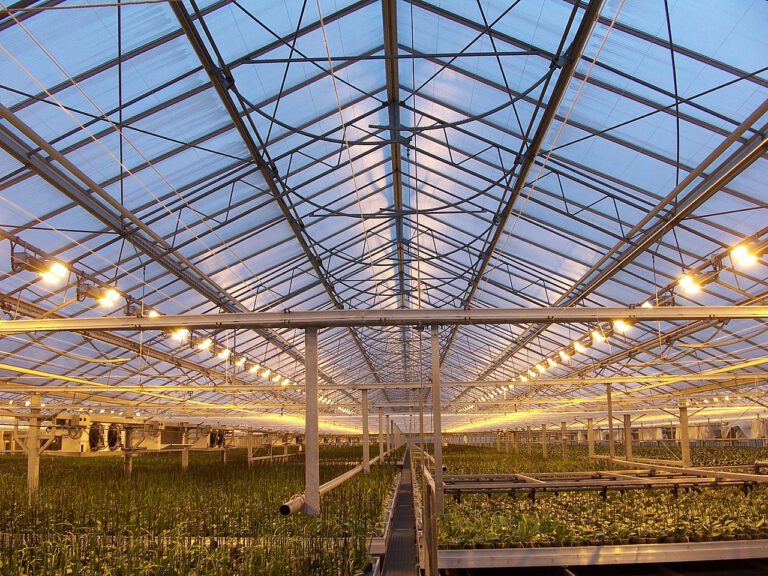 Glastuinbouw na splitsen voor CO2 weer samenvoegen voor ODE