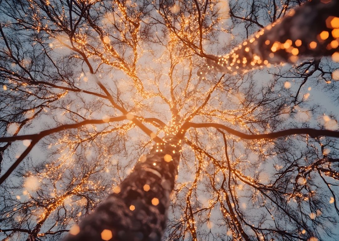 Kerstverlichting en netcongestie: hoe groot is de impact nu echt?